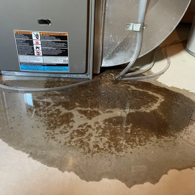 Appliance Leak Cleanup in Rio Rico, AZ